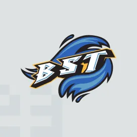 Bridgeport sound tigers 2